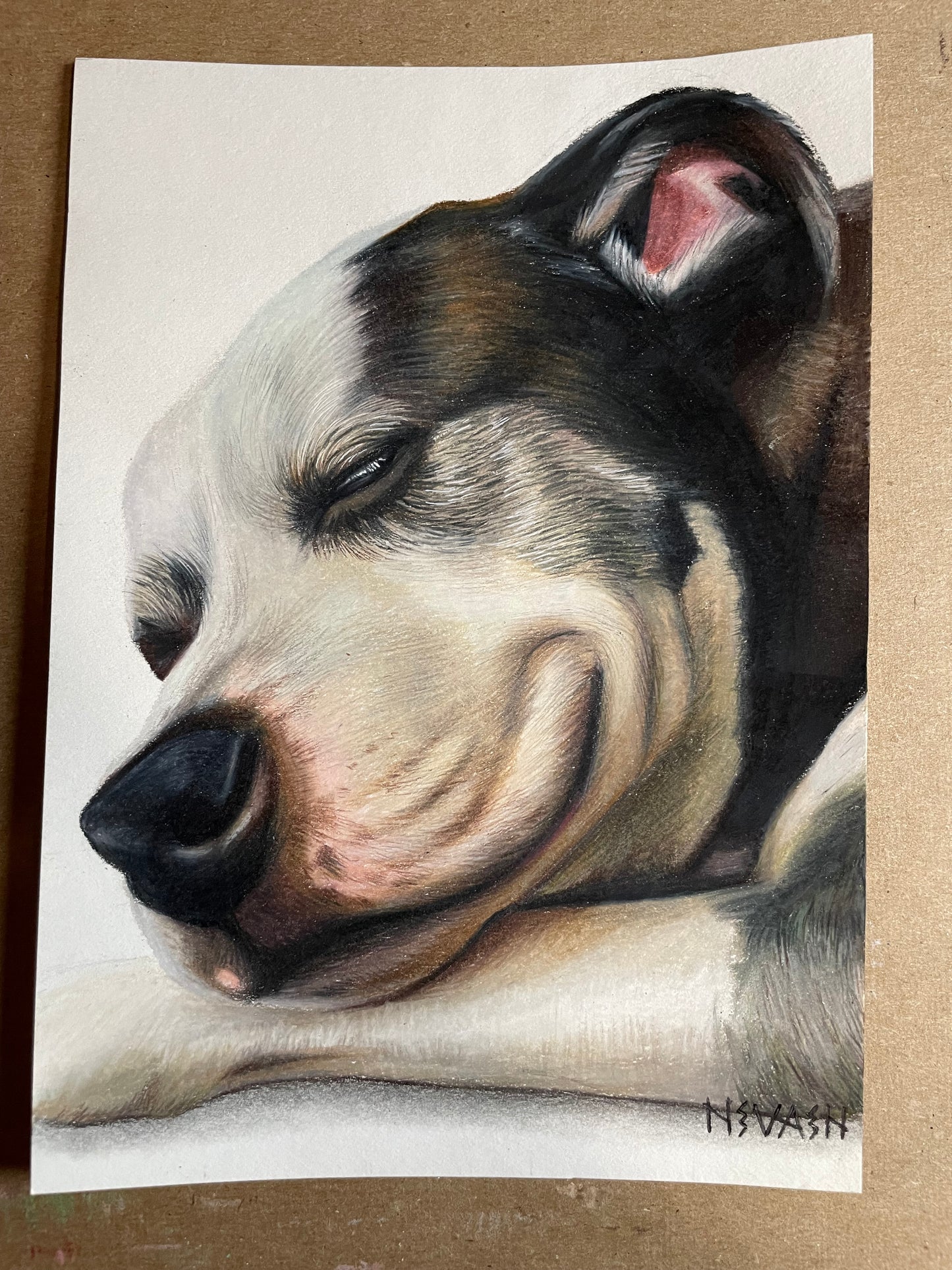 Custom Colored Pencil Portrait – People/Pets | August Waitlist